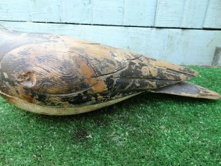 19thC WOODEN DECOY PIGEON BIRD,  HAND PAINTING,  GLASS EYE,  c1890s 3