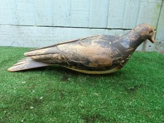 19thC WOODEN DECOY PIGEON BIRD,  HAND PAINTING,  GLASS EYE,  c1890s 5