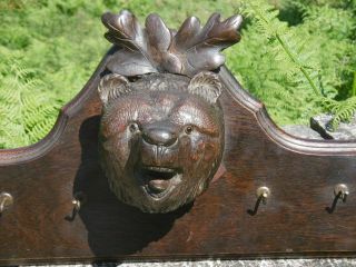 MAGNIFICENT 19thc BLACK FOREST OAK CARVED PEDIMENT WITH BEAR HEAD C.  1870 7