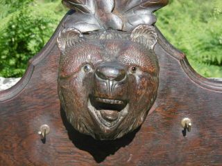 MAGNIFICENT 19thc BLACK FOREST OAK CARVED PEDIMENT WITH BEAR HEAD C.  1870 9