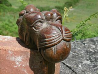 19thc GOTHIC OAK CARVED GARGOYLE WITH BALL IN MOUTH 8