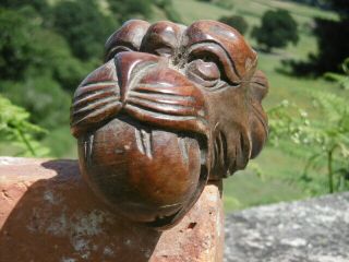 19thc GOTHIC OAK CARVED GARGOYLE WITH BALL IN MOUTH 9