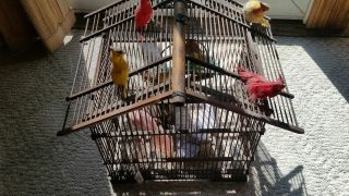 Antique Wooden Bird Cage With 11 Faux Birds Early 1900 