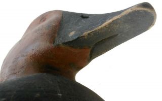 AAFA 1900s Antique Vintage Folk Art Hand Carved Wood Duck Decoy 6