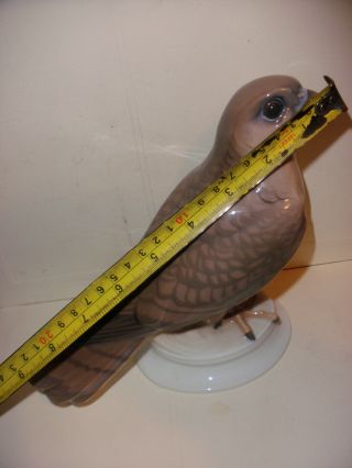 Rare Bing & Grondahl 1666 Dahl Jensen kestrel falcon bird porcelain figure 3