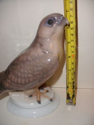 Rare Bing & Grondahl 1666 Dahl Jensen kestrel falcon bird porcelain figure 4