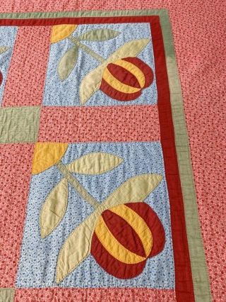 RARE PA c 1890 - 1900 Peony APPLIQUE Antique Quilt RED Cheddar UP & Down 10
