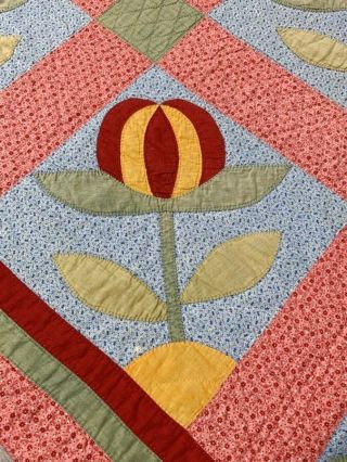 RARE PA c 1890 - 1900 Peony APPLIQUE Antique Quilt RED Cheddar UP & Down 2