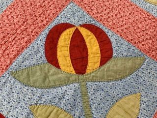 RARE PA c 1890 - 1900 Peony APPLIQUE Antique Quilt RED Cheddar UP & Down 3