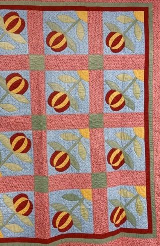 RARE PA c 1890 - 1900 Peony APPLIQUE Antique Quilt RED Cheddar UP & Down 5