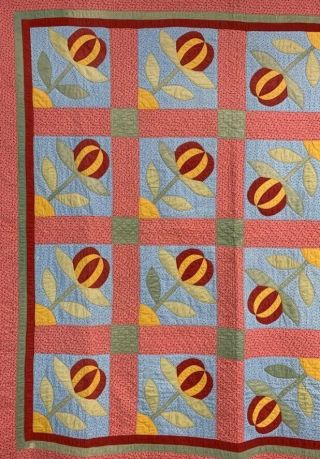 RARE PA c 1890 - 1900 Peony APPLIQUE Antique Quilt RED Cheddar UP & Down 6