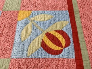 RARE PA c 1890 - 1900 Peony APPLIQUE Antique Quilt RED Cheddar UP & Down 9
