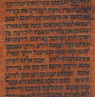 TORAH SCROLL BIBLE VELLUM MANUSCRIPT FRAGMENT 200 YRS YEMEN Leviticus 26:4 - 27:34 4