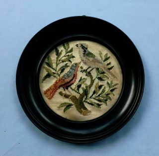 Late 18th - Early19th Century Embroidered Silkwork Roundel - Birds On Tree - Framed