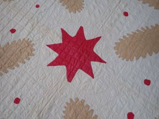 Fabulous Pattern Antique Princess Feather Star Dots Applique Tan & Red QUILT 9