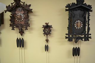 Antique German Black Forest Mini Cuckoo Clock