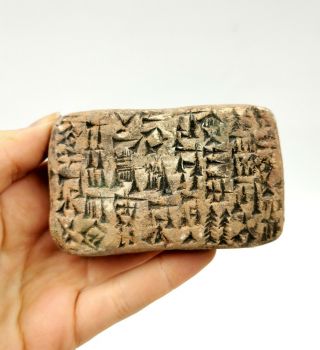 Rare Near Eastern Ca.  300 Bc Terracotta Cuneiform Tablet - Intact R218