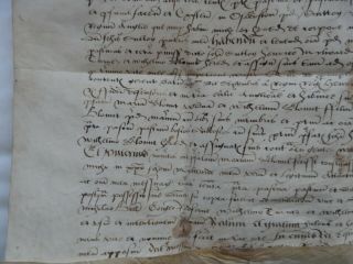 16th cent.  Indenture in Latin,  Blount/Blunt,  Sutton,  others,  Osbaston,  Leicester 4