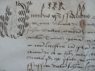 16th cent.  Indenture in Latin,  Blount/Blunt,  Sutton,  others,  Osbaston,  Leicester 7