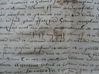 16th cent.  Indenture in Latin,  Blount/Blunt,  Sutton,  others,  Osbaston,  Leicester 8