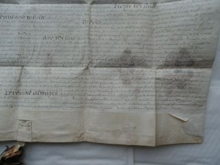 1580 - 81 Indenture Elizabeth I - William Blunt,  Robert Shepty,  Osbaston Leicester 5