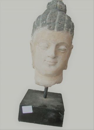 Circa 200 - 300ad Gandharan Stucco Statue Fragment - Buddha Head - Lifesize