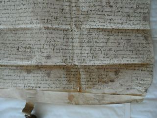 Vellum Indenture 1517 Henry VIII: Sir Thomas Pope & John Sutton,  Bird Wax Seal 6