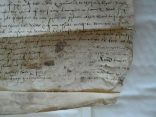 Vellum Indenture 1517 Henry VIII: Sir Thomas Pope & John Sutton,  Bird Wax Seal 7