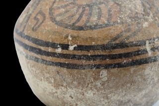 Circa 2500 bc Harappa Culture Ancient Indus Valley Terracota Pot SR1101 4