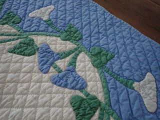 Vintage 1920s Marie Webster Morning Glories Crib QUILT Rare in Blue 50x34 10