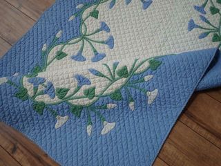 Vintage 1920s Marie Webster Morning Glories Crib QUILT Rare in Blue 50x34 11