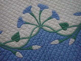 Vintage 1920s Marie Webster Morning Glories Crib QUILT Rare in Blue 50x34 2