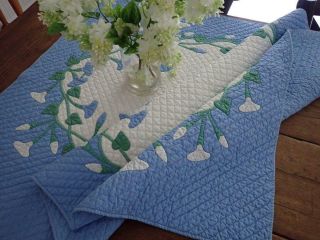 Vintage 1920s Marie Webster Morning Glories Crib QUILT Rare in Blue 50x34 6