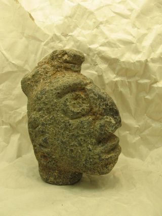 Pre - Columbian Atlantic Watershed Costa Rica Stone Trophy Head With Snake