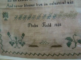 1825 PHEBE FIELD AMERICAN SAMPLER TITLED 