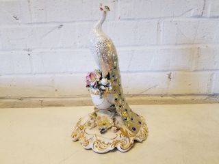 Antique Royal Crown Derby Porcelain Peacock Perched on Flowering Urn Figurine 2