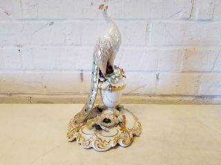 Antique Royal Crown Derby Porcelain Peacock Perched on Flowering Urn Figurine 4