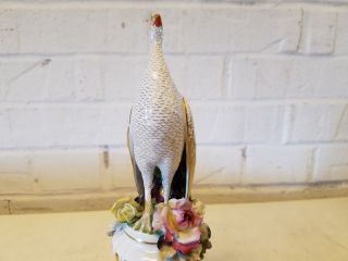 Antique Royal Crown Derby Porcelain Peacock Perched on Flowering Urn Figurine 6