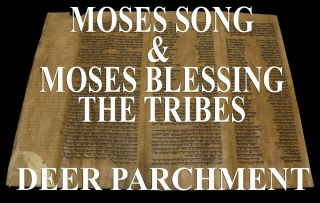 Torah Scroll Bible Vellum Manuscript Fragment 350 Yrs Morocco Deut 31:29 - 34:12