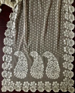 Long Early 1800s Needlerun Embroidered Net Lace Paisley Shawl Costume Collect