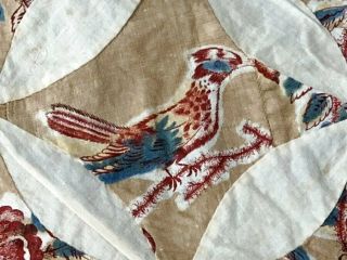 Early c 1830 - 40s PA Quilt Top Fabric Study Broderie Perse Bird Fabri 2