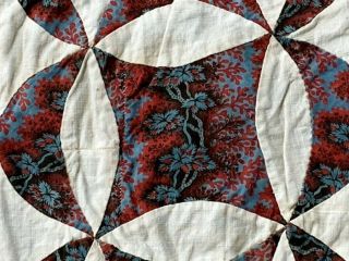 Early c 1830 - 40s PA Quilt Top Fabric Study Broderie Perse Bird Fabri 8