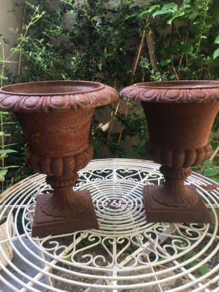 Impressive Pair,  Cast Iron,  Classical Influence Victorian Style Urns,  12.  5” Tall