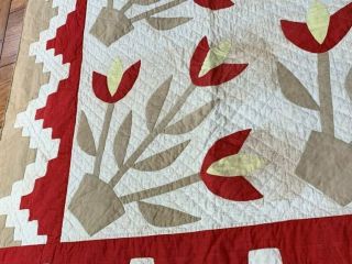 Early Antique Turkey RED Tulips QUILT border Applique 10