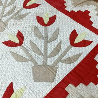 Early Antique Turkey RED Tulips QUILT border Applique 2