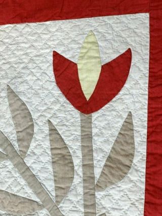 Early Antique Turkey RED Tulips QUILT border Applique 4