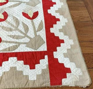 Early Antique Turkey RED Tulips QUILT border Applique 5