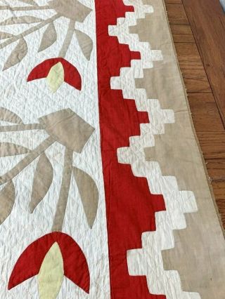 Early Antique Turkey RED Tulips QUILT border Applique 6