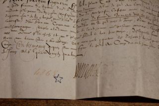 1594 medieval lord land Pass manuscript document letter parchment skin RARE 4