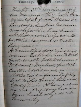TRAVELING PREACHER HANDWRITTEN DIARIES - Temperance - Prohibition - Alcoholism - 1886 - NY 10